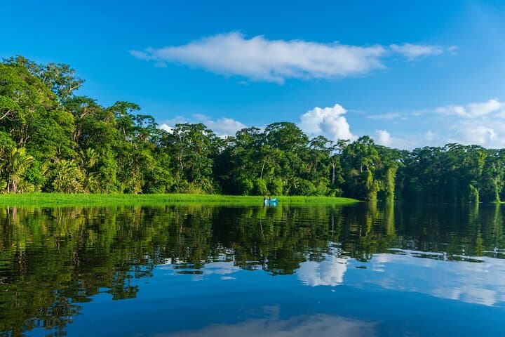Tortuguero Three-Day Turtle Nesting, Canoe & Night Jungle Tour photo 6