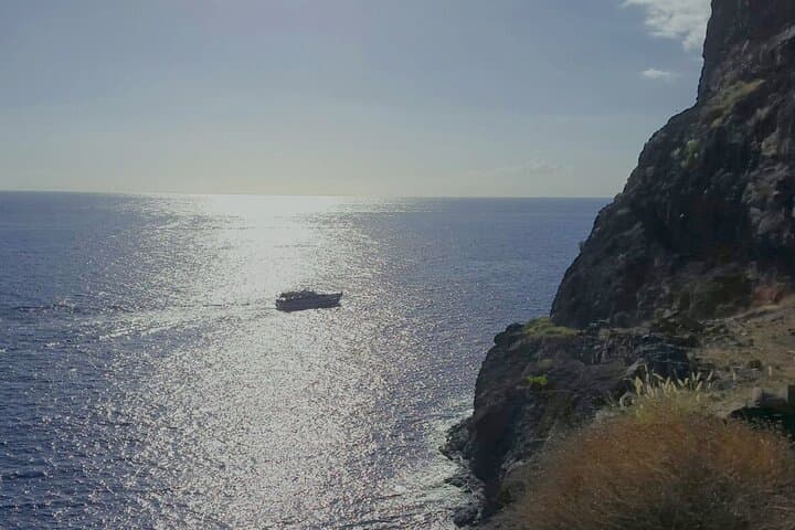 Vintage Boat Whale‑Watching Excursion from Valle Gran Rey, La Gomera photo 5