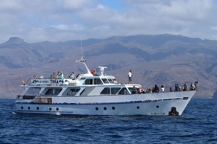 Vintage-boat whale watching from Playa Santiago, La Gomera