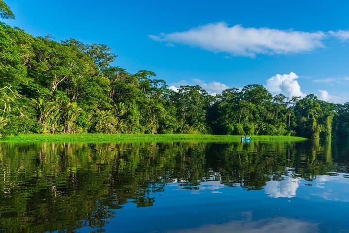 Tortuguero Canoe Tour & Night Walk — Canals, Wildlife and Turtle Spawning photo 2