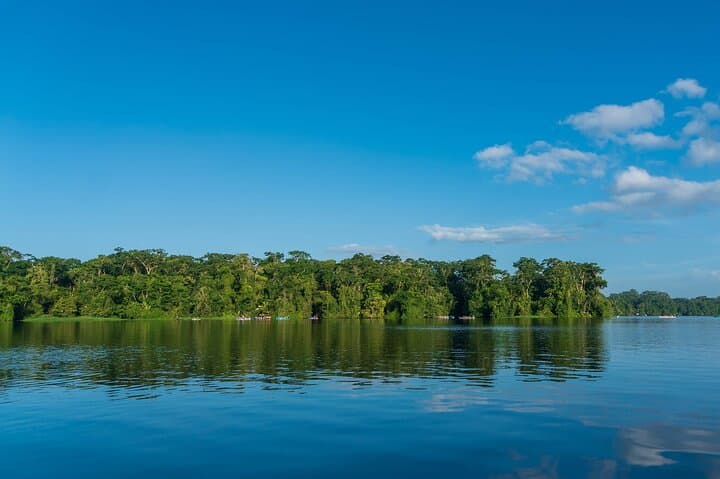 Tortuguero Canoe Tour & Night Walk — Canals, Wildlife and Turtle Spawning photo 3