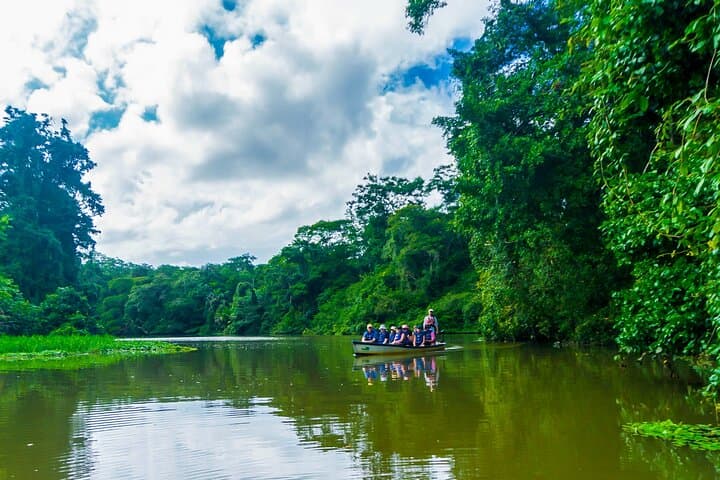 Tortuguero Canoe Tour & Night Walk — Canals, Wildlife and Turtle Spawning photo 4