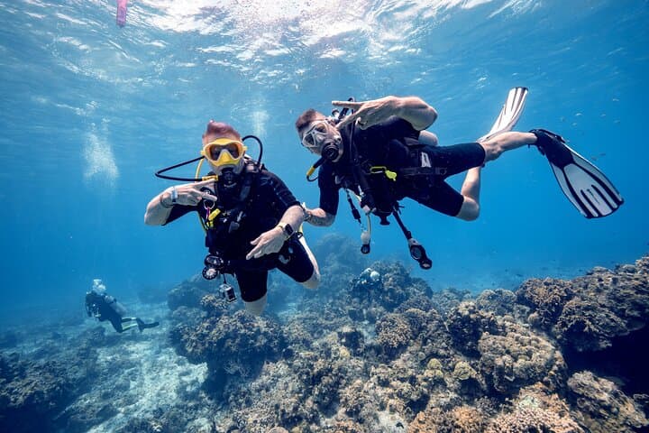 Discover Diving in the Reefs of Cozumel: Your Guide to an Unforgettable Underwater Adventure photo 3