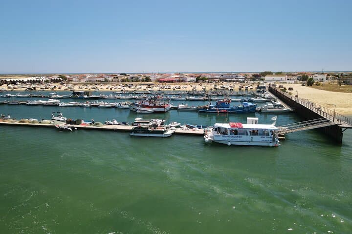Half-Day Islands Cruise in Ria Formosa — Olhão to Culatra & Farol photo 5