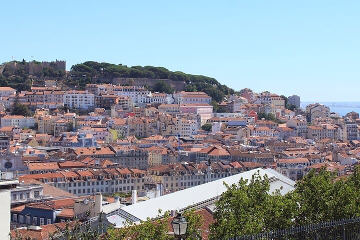 Lisbon Street Art to Arrábida: Private Combo Wine and Urban Art Tour photo 4