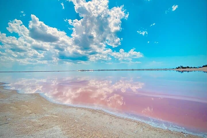 Las Coloradas and Río Lagartos Day Trip from Valladolid: Pink Lagoons, Cenote & Mayan Mud Bath photo 2