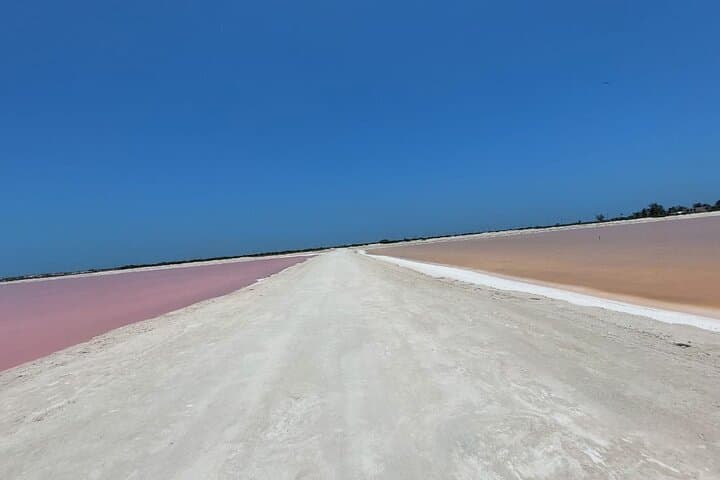 Las Coloradas and Río Lagartos Day Trip from Valladolid: Pink Lagoons, Cenote & Mayan Mud Bath photo 4