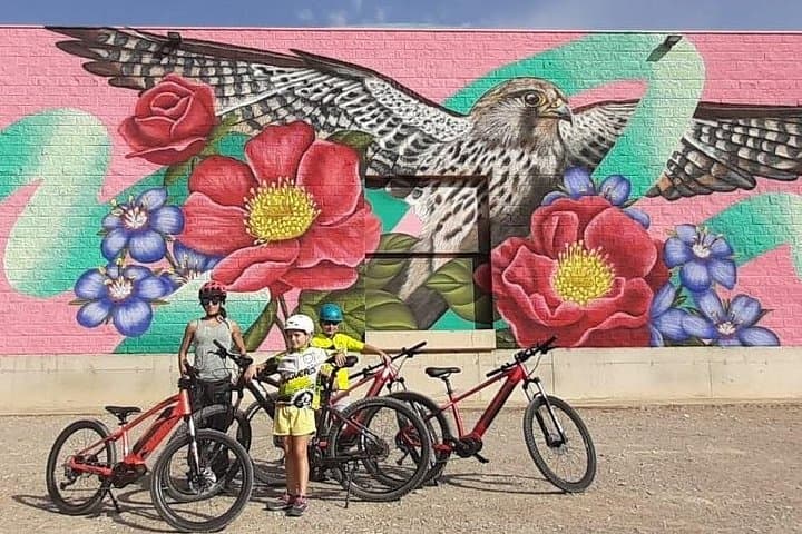 E-Bike the Segre: Private Half-Day Electric Bike Tour from Lleida photo 2