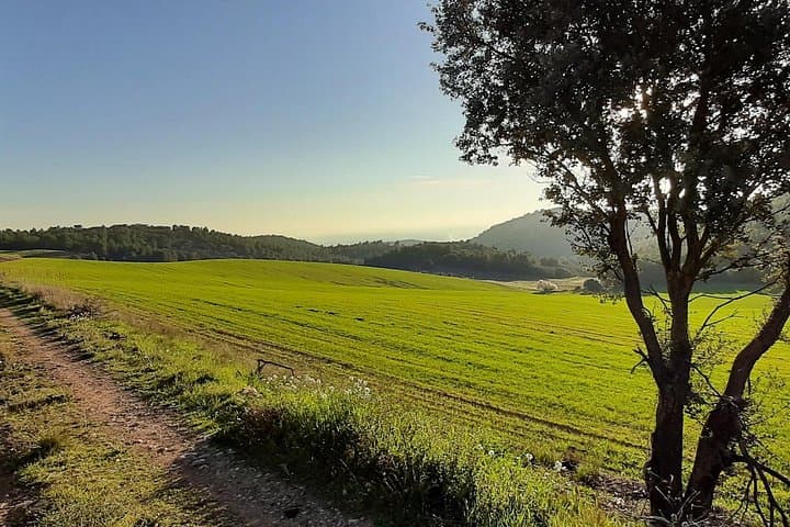 E-Bike the Segre: Private Half-Day Electric Bike Tour from Lleida photo 4