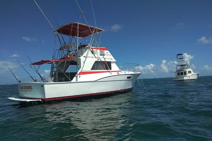 Punta Cana Private Deep-Sea Fishing: 4-Hour Charter for Marlin, Mahi & Wahoo photo 2