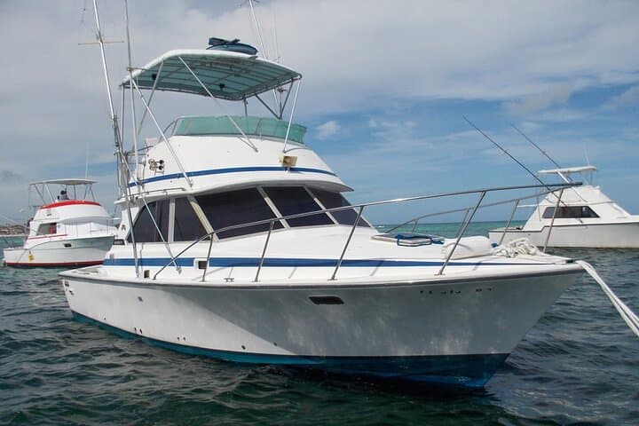 Punta Cana Private Deep-Sea Fishing: 4-Hour Charter for Marlin, Mahi & Wahoo photo 4