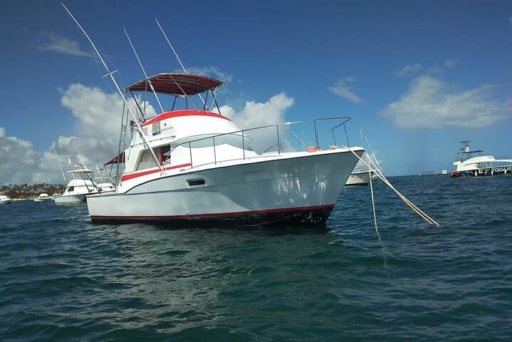 Punta Cana Private Deep-Sea Fishing: 4-Hour Charter for Marlin, Mahi & Wahoo photo 5