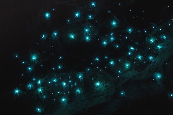 Byron Bay Glow Worm Tunnel E‑Bike Night Ride photo 3