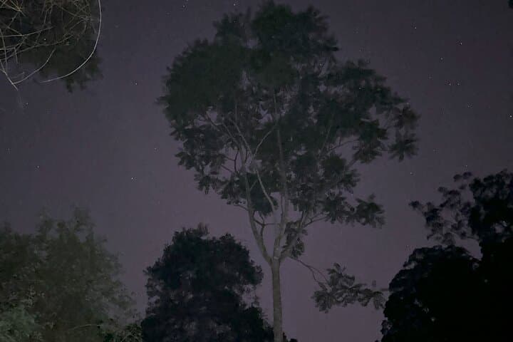 Byron Bay Glow Worm Tunnel E‑Bike Night Ride photo 4