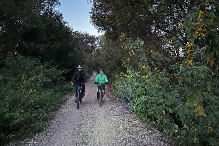 Byron Bay Glow Worm Tunnel E‑Bike Night Ride photo 5