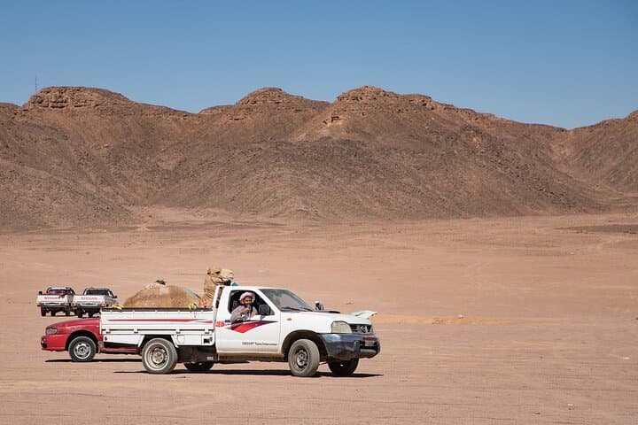 Mount Sinai Sunrise Climb & St. Catherine's Monastery Day Tour from Sharm El Sheikh photo 3