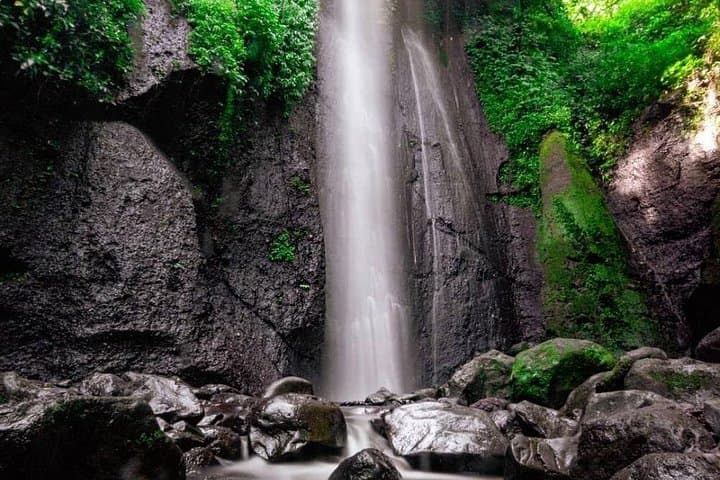 Bogor Full-Day Cultural Adventure: Curug Nangka Waterfall, Rice Fields & Botanical Garden photo 4