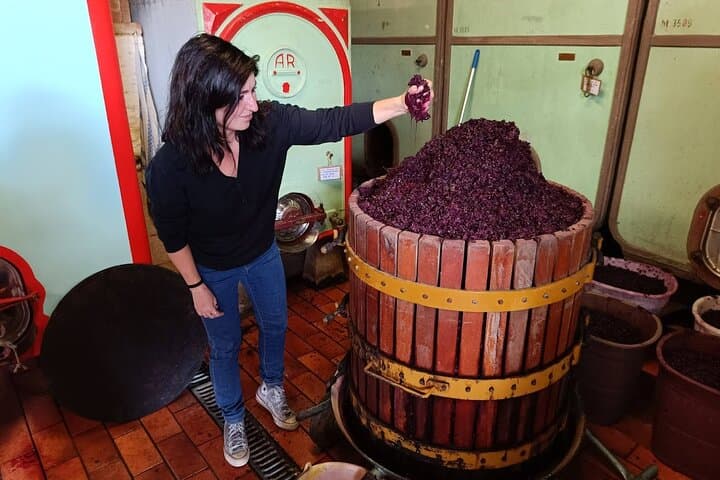 Chianti Classico Morning Wine Tour from Florence — 2 Wineries & Tuscan Lunch photo 6