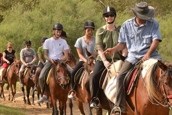 Private Horseback Riding in Alanya: Mediterranean Coast Horse Safari photo 3