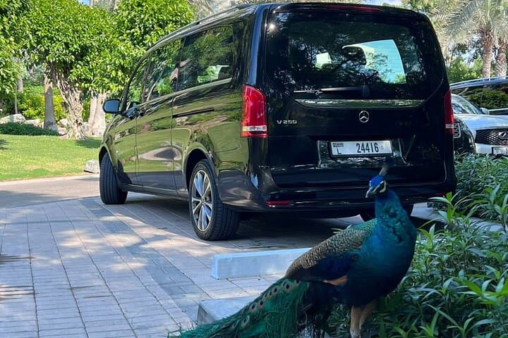 Dubai Luxurious Full-Day Private Car with Driver — 10-Hour Tailored Tour photo 5