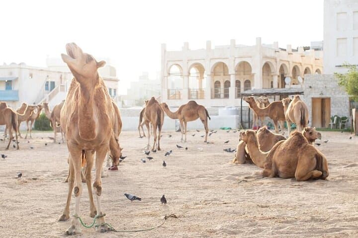 Create Your Own Doha Adventure: Customizable Private City Tour photo 4