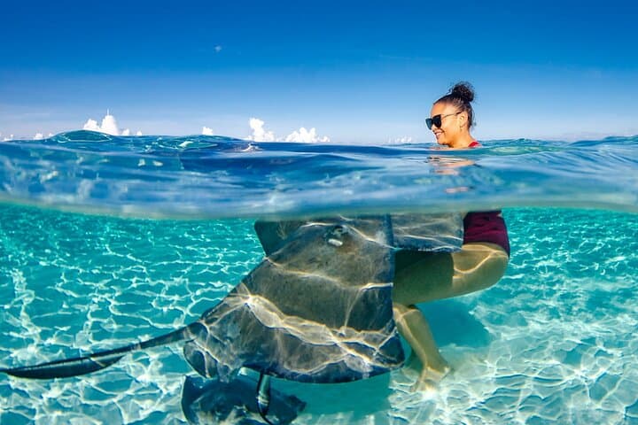 Private Boat Charter to Stingray City — Stingrays, Coral Gardens & Starfish Beach (4 hrs) photo 4