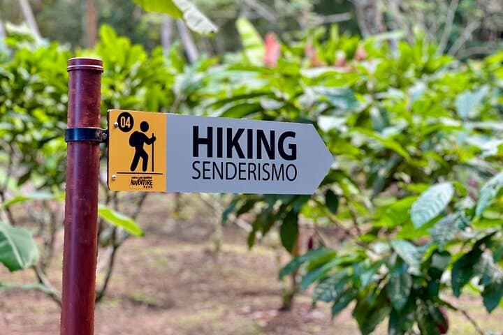 Herradura Bay Self-Guided Ocean-View Hike — 2.8 km, 400 m Elevation photo 3