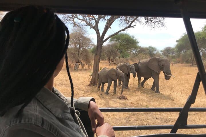 2-Day Private Tarangire Safari: Overnight Camping & Sunrise Game Drives photo 4