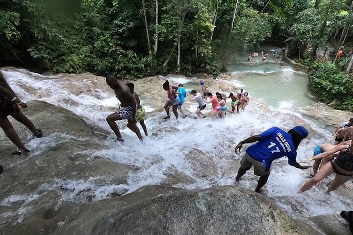 Climb Dunn's River Falls — Private Transfer from Montego Bay photo 4