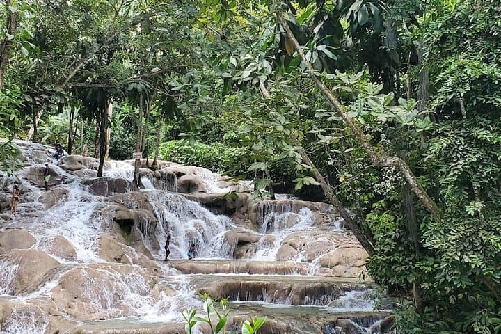 Climb Dunn's River Falls — Private Transfer from Montego Bay photo 6
