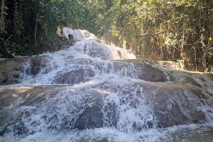 Climb Dunn's River Falls — Private Transfer from Montego Bay photo 5