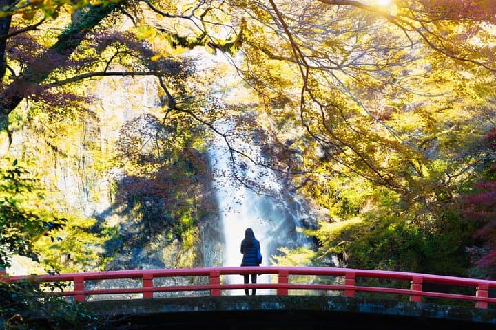 Minoo Park Adventure: Waterfall Hike, Ryuanji Temple & Yamamoto Coffee photo 6