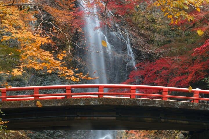 Minoo Park Adventure: Waterfall Hike, Ryuanji Temple & Yamamoto Coffee