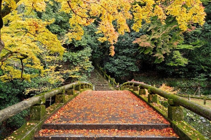 Minoo Park Adventure: Waterfall Hike, Ryuanji Temple & Yamamoto Coffee photo 5
