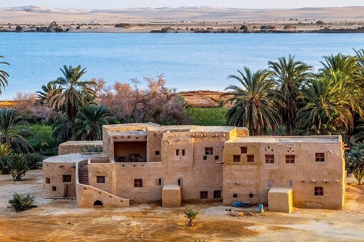 Siwa & White Desert: 2-Day Desert Camping Adventure from Cairo photo 6