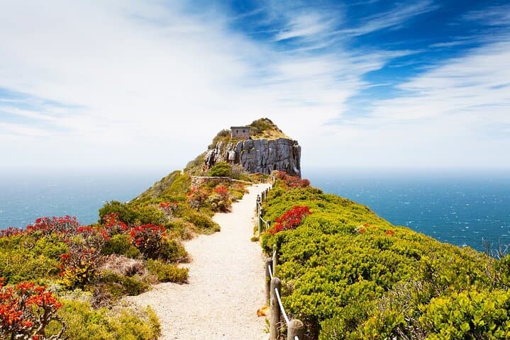 Private Cape Point and Boulders Beach Penguin Tour from Cape Town