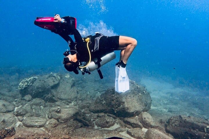 Beginner Scuba Diving in West Maui — Shore Dives with Turtles & Reef Life photo 6