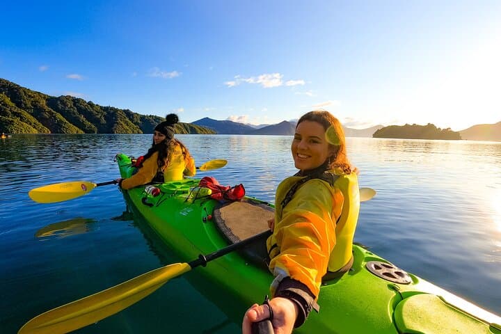 Half-Day Sea Kayak in the Marlborough Sounds — Picton Guided Tour