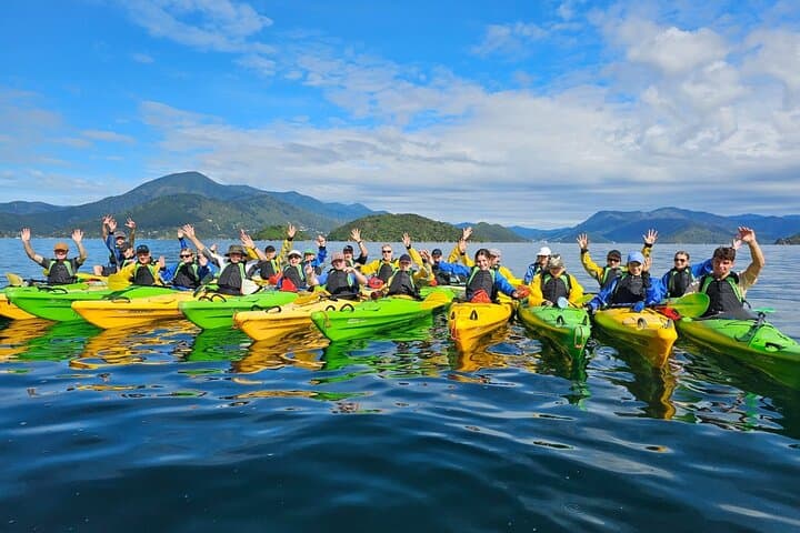 Half-Day Sea Kayak in the Marlborough Sounds — Picton Guided Tour photo 2