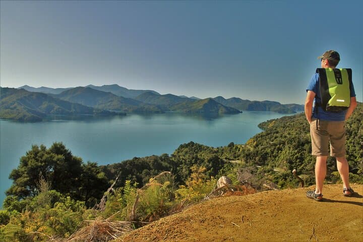 Full-Day Kayak and Link Pathway Walk in Queen Charlotte Sound (Picton) photo 2