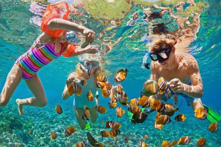 Roatán Zipline, Snorkeling & West Bay Beach Day Trip photo 5