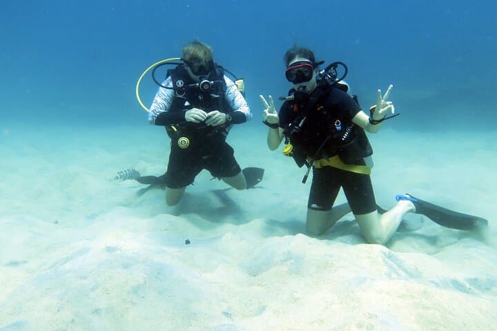 Day Trip Scuba Diving to Koh Tao from Koh Samui photo 5