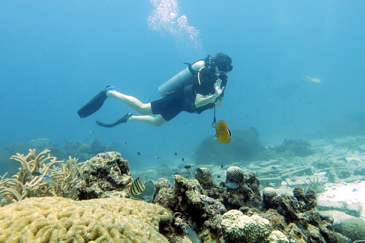 Day Trip Scuba Diving to Koh Tao from Koh Samui photo 4