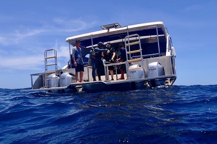 Day Trip Scuba Diving to Koh Tao from Koh Samui
