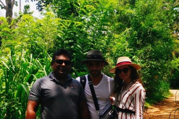 Pinnawala Private Day Trip from Colombo or Negombo — Elephants, Temples & Tea Factory Visit photo 4