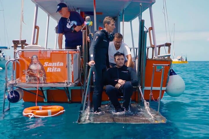 Accessible Whale & Dolphin Boat Tour — 3-Hour Tenerife Wildlife Cruise photo 2