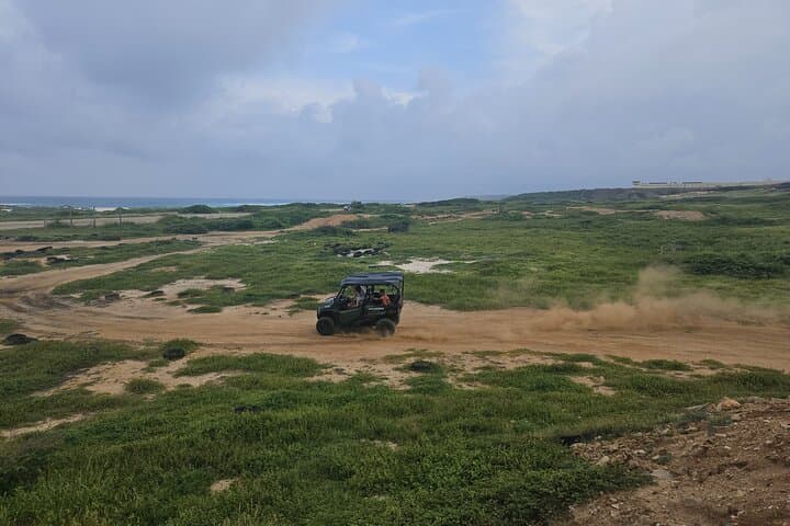 4-Hour 5-Seater UTV Island Tour in Aruba — Northern Coast Adventure photo 3