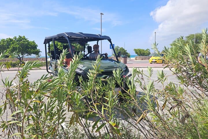 4-Hour 5-Seater UTV Island Tour in Aruba — Northern Coast Adventure photo 4
