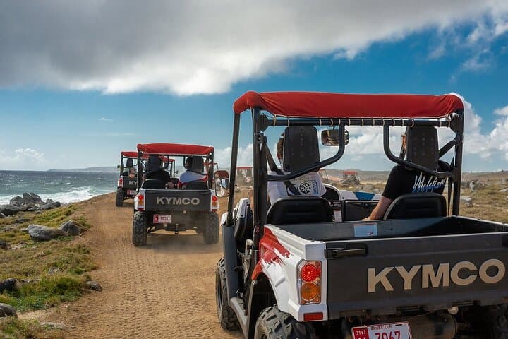 4-Hour 5-Seater UTV Island Tour in Aruba — Northern Coast Adventure photo 6