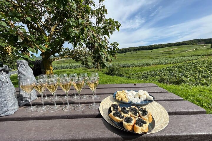 Champagne and Reims Day Trip from Paris — Épernay Cellars, Vineyard Views & Reims Cathedral photo 4